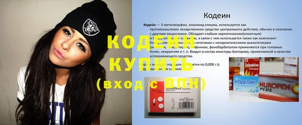 индика Кулебаки