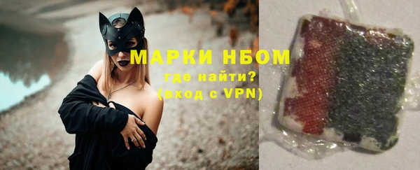 индика Кулебаки