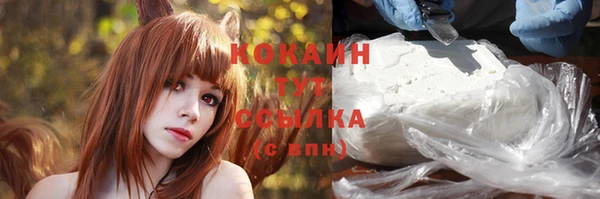 индика Кулебаки