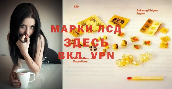 индика Кулебаки