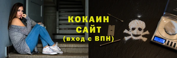 индика Кулебаки