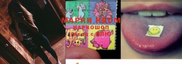 индика Кулебаки