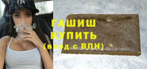 индика Кулебаки