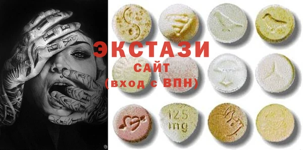 индика Кулебаки