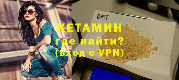 индика Кулебаки