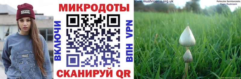 дарнет шоп  Мамадыш  Галлюциногенные грибы Cubensis 